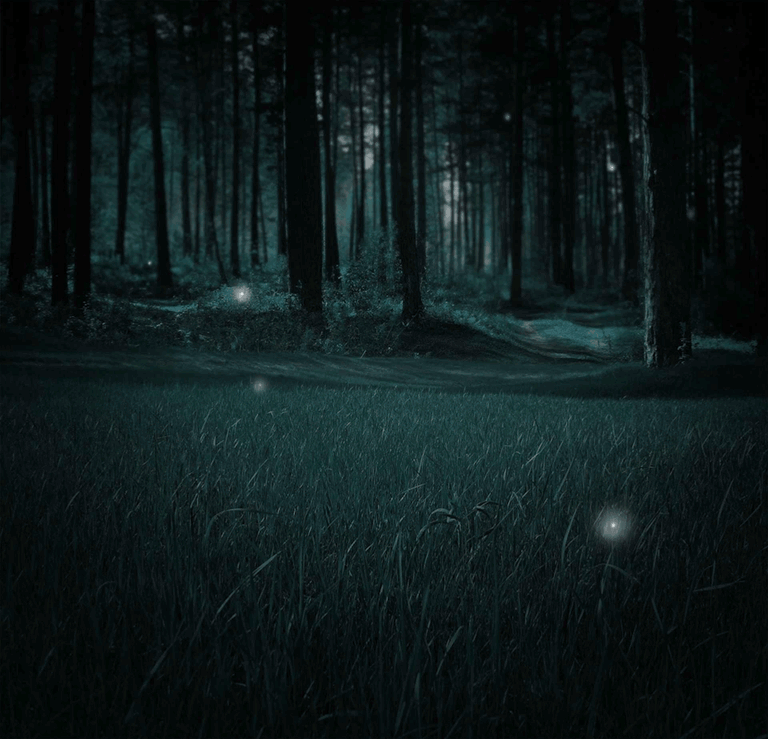 woodland-animation.gif